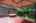 Blurred preview of media: Hamilton-36