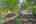 Blurred preview of media: DSC09425