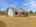 Blurred preview of media: 593_Doyle_Street_Doyle_026