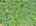 Blurred preview of media: DJI_20260527104919_0146_D_7_D_8_D_easyHDR
