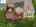 Blurred preview of media: DJI_20260922141215_0750_D