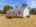 Blurred preview of media: 593_Doyle_Street_Doyle_027