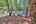Blurred preview of media: IMG_3270_1_2_easyHDR
