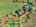 Blurred preview of media: DJI_20251021122457_0887_D_8_D_9_D_easyHDR