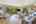 Blurred preview of media: Main Area 1.1