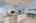 Blurred preview of media: iPixx_01_16