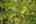 Blurred preview of media: 69-21290_SW_Eastview_Rd