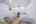 Blurred preview of media: 1440-east-19stt-043