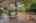 Blurred preview of media: 1-50