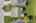 Blurred preview of media: 6763 West Summer Breeze Ext-5