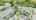 Blurred preview of media: DJI_0109 copy