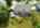 Blurred preview of media: Back1
