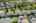 Blurred preview of media: DJI_0739