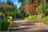 Blurred preview of media: 78