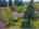 Blurred preview of media: 1-35
