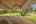 Blurred preview of media: 13170 SE Flamingo Dr-38