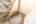 Blurred preview of media: 834A0930
