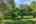 Blurred preview of media: IMG_9916