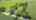 Blurred preview of media: DJI_0741