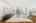 Blurred preview of media: Nerine_050
