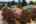 Blurred preview of media: 1-61