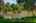 Blurred preview of media: Westlake Village 03