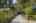 Blurred preview of media: 1-50