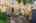 Blurred preview of media: Externals-4