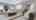 Blurred preview of media: 19-Ann-Arbour-Ct-Whitby-07162026_160634