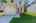 Blurred preview of media: 11082 Pine St-4