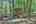 Blurred preview of media: 9zb