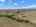 Blurred preview of media: B-6