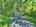 Blurred preview of media: DJI_20260829152816_0447_D_7_0448_D_7_0449_D_easyHDR
