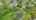 Blurred preview of media: DJI_20261001114250_0804_D