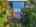 Blurred preview of media: 1-48