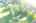 Blurred preview of media: DJI_0505