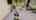 Blurred preview of media: Jarett-Mutts-Photography-06082018_082217
