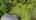 Blurred preview of media: DJI_0332-HDR