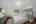 Blurred preview of media: DSC08731