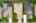 Blurred preview of media: iPixx_10_21