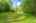 Blurred preview of media: 592 Sugar Road Bolton Massachusetts Job 38874 0012