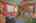Blurred preview of media: IMG_2254_5_6