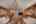 Blurred preview of media: SS Whatever-32