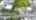 Blurred preview of media: DJI_0017