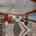 Blurred preview of media: Dorie Lu-32