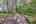 Blurred preview of media: IMG_3075_6_7_easyHDR