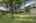 Blurred preview of media: 6243Cecilyann-30