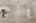 Blurred preview of media: 9400 Underwing Way 8-9