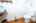 Blurred preview of media: IMG_1779