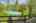 Blurred preview of media: IMG_1212